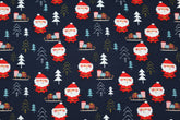 Baumwolljersey Santa Forest